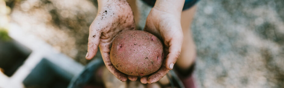 woman holding red potato